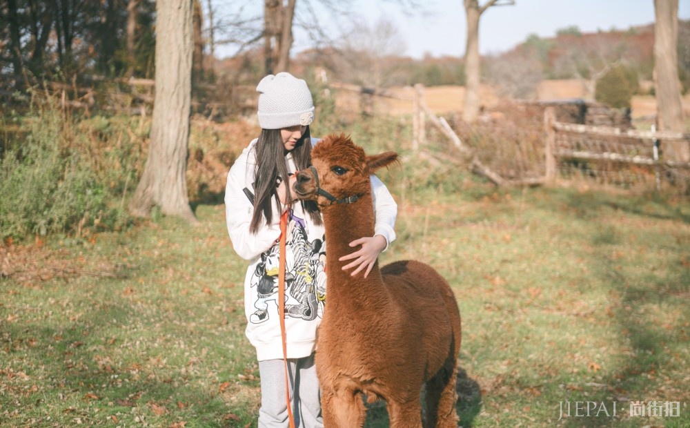 ŷ�����Ȱ�ɫ���´����˶�����Ƥ����Ů